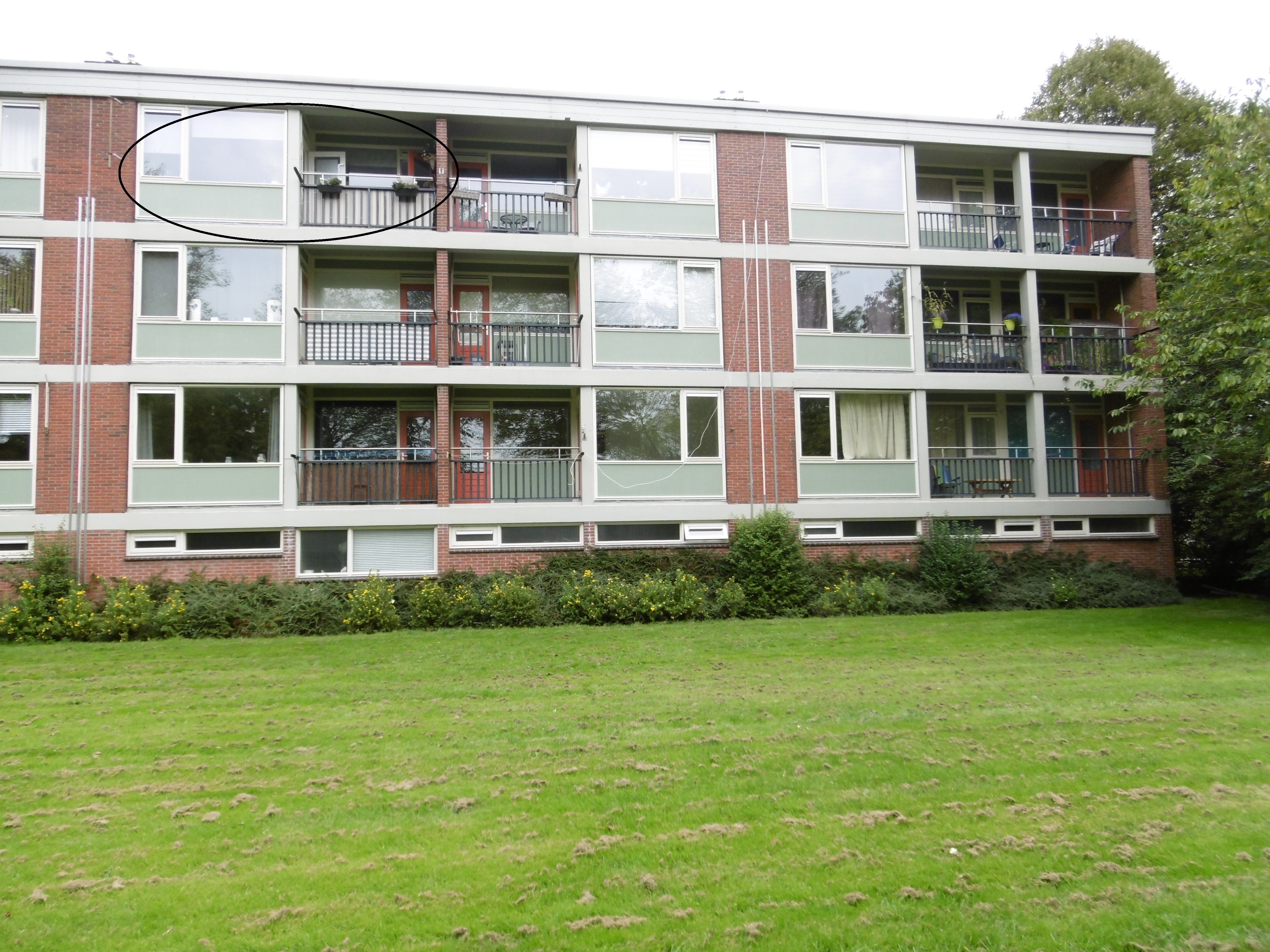 Elba 32, 8303 WR Emmeloord, Nederland