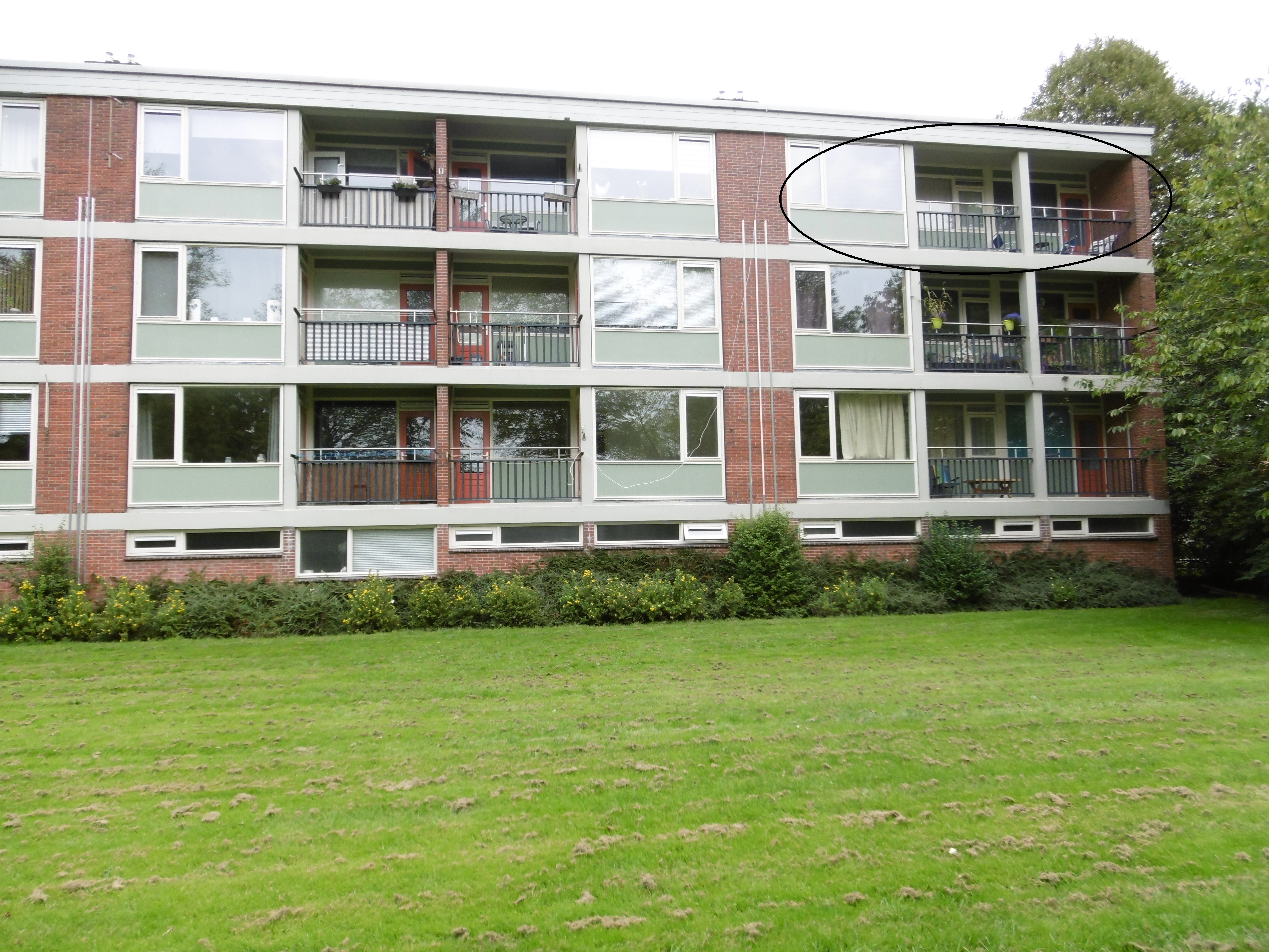 Elba 36, 8303 WR Emmeloord, Nederland