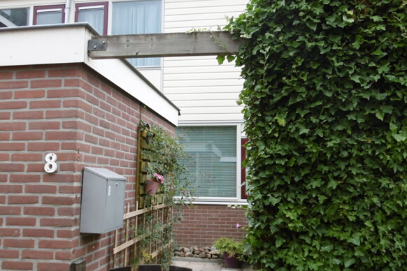 Linge 8