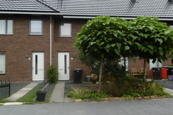 Picassohage 11