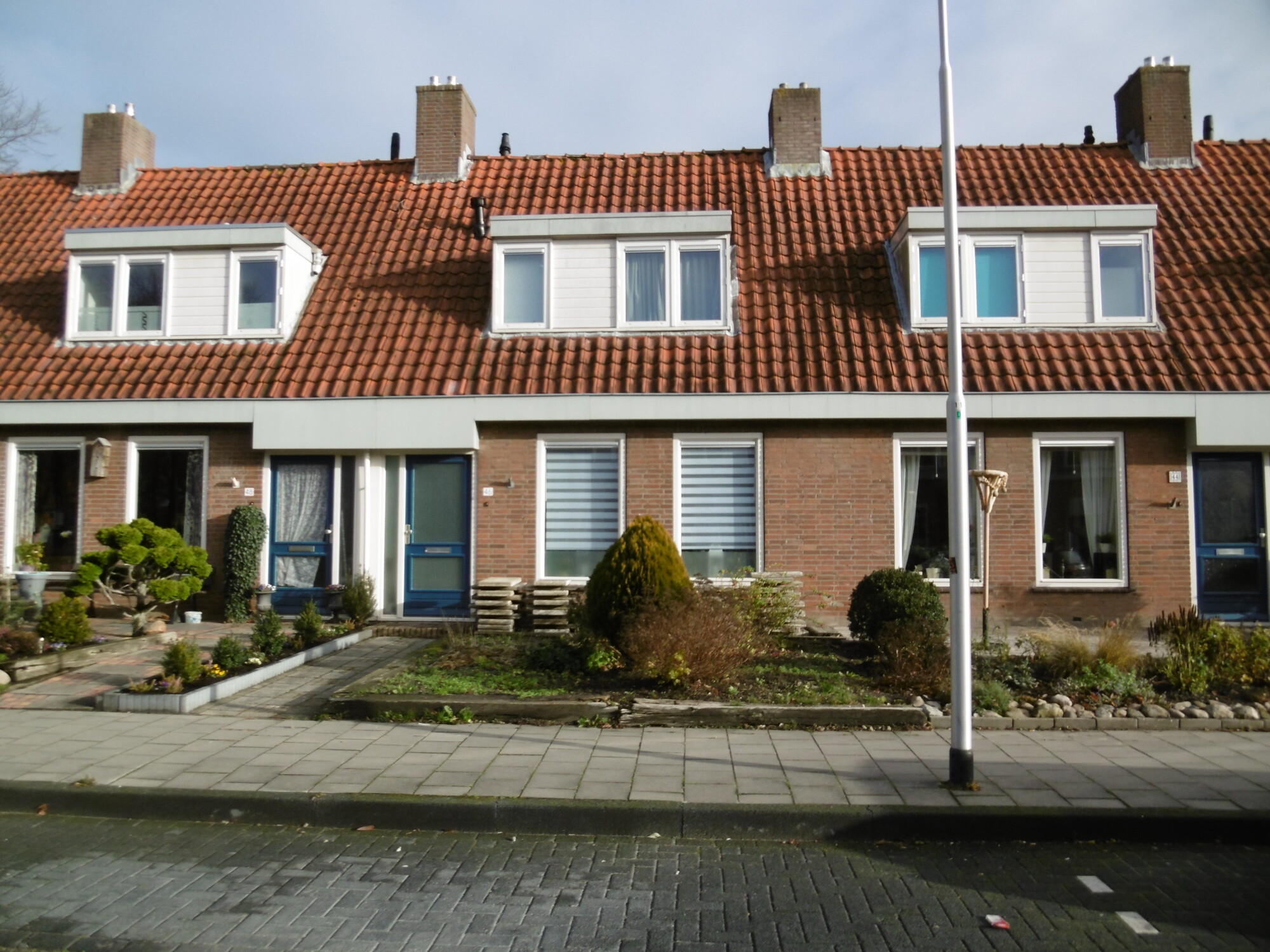 Rietstraat 46
